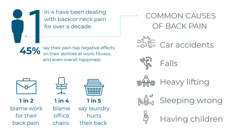 Back Pain Causes Infographic