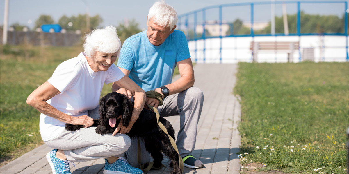 Exercise for Seniors: Improve Health and Quality of Life
